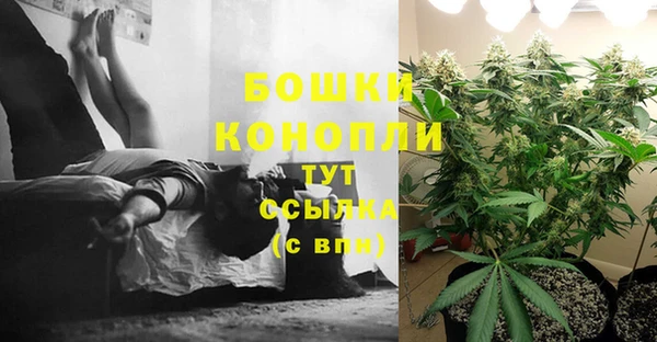 первитин Бородино