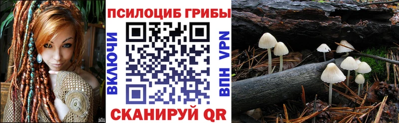Галлюциногенные грибы MAGIC MUSHROOMS Сурск